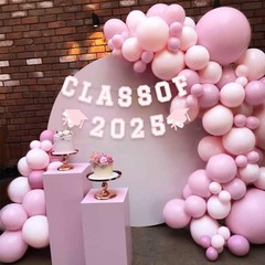 2025 Graduation Banner and Garland, College High School Party Decorations, Pink