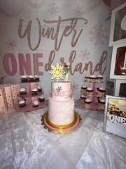 Winter Onederland Backdrop for Girl 1st Birthday Party Decoration (7x5ft).