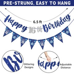 Blue Silver 16th Birthday Decorations for Boys Girls, Happy