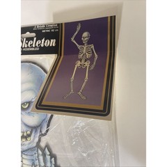 Beistle Jointed Skeleton Halloween Cardboard VTG Die Cut Art print 44″ New 1984