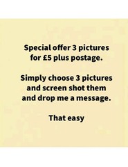 Special Offer 3 Pictures in my inventory £5 plus postage you choose