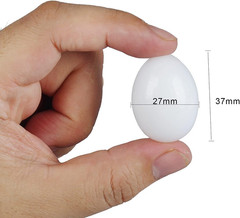 10Pcs Solid Parrot Plastic Fake Eggs Realistic, Simulated Fake Bird Eggs for Hat