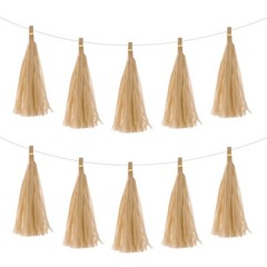 25Pcs Khaki Tassel Garland Banner with Rope