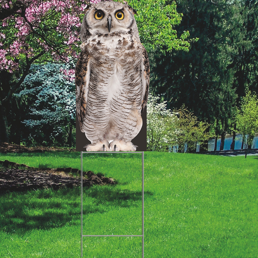 YS3054 Owl Plastic Outdoor Yard Sign Decoration Cutout