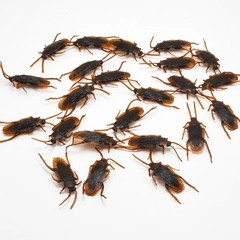 Fake Plastic Cockroaches Prank Toys Halloween Joke Bugs Party Decoration Props