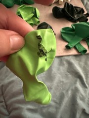 36 Pieces Dinosaur Roar Latex Green White Balloons