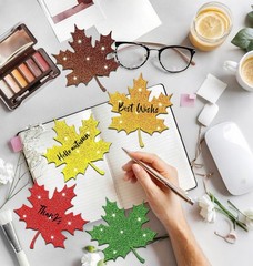 50 PCS Fall Maple Leaves Paper Cutouts Autumn Leaf Bulletin Board Decor
