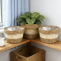 3 Piece Natural Seagrass Basket Set for Plants Decorative Arrangements