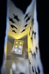 Quasimoon Star Moon Paper Luminaries / Luminary Lantern Bags Path Lighting (1…