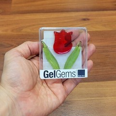 GelGems TULIP Flower Window Cling Decoration Decal Kameyama Co 2012 BRAND NEW