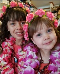 4 Pcs Thicken 41 Inch Hawaiian Leis, 4 Color Lei For Graduation Party,
