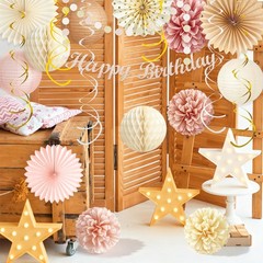 ChampagneGold Beige Birthday Decorations for Women Girls, Boho Peach Paper La…