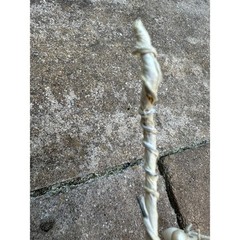 Seashell garlands Coastal Shell wire decor nautical natural marine beach ocean 2