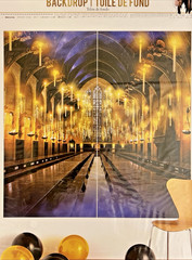 Hogwarts Harry Potter Wizarding World Kids Birthday Party Decoration Backdrop NE