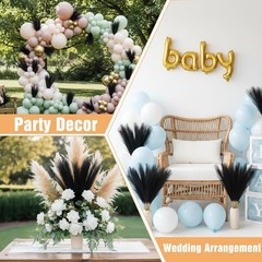Ptwola 30pcs Black Pampas Grass Decor 17.7 17.72 x 2.36 x 0.12 inches,