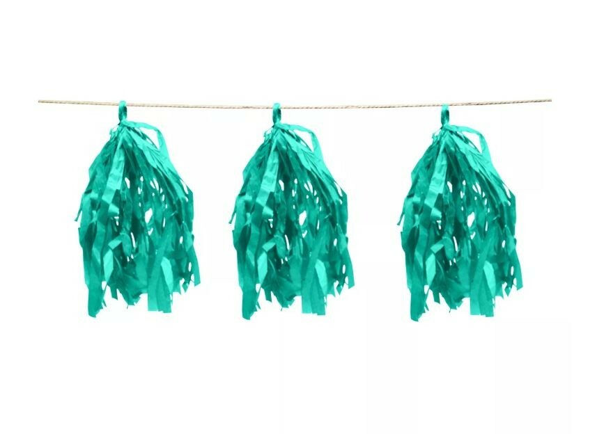 Spritz™ Light Green Tassel Garland Party Decoration – New