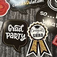 Graduation Party Photo Booth Props 10 Grad Decorations Sticks Adhesive USA New