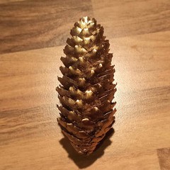 Golden Spruce Pine Cone Approx. 11Cm Real Natural Product Decoration Christmas