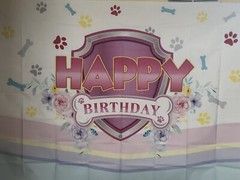 Happy Birthday Paw Patrol ( Skye ) Themed Backdrop 5ft X 7ft