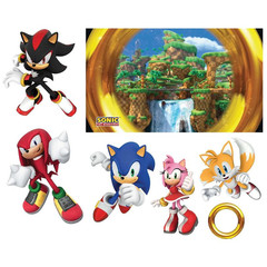 Sonic the Hedgehog Treat Your Trunk Decorating Kit – Morris Costumes