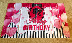 Pink Princess Birthday Party Backdrop 71×43″ Barbie Style Banner Photo Prop NEW