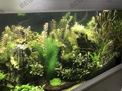 Aquarium Decorations 3Pcs Fish Tank Artificial Green Water Plants Made of Sil…