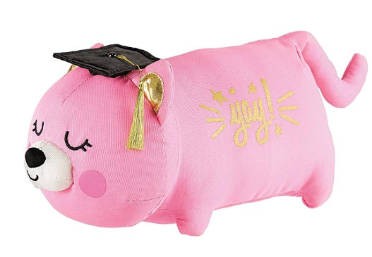 Graduation Autograph Cat | 6 1/2″H x 12″W x 4 1/4″D | 1 Piece | Pink