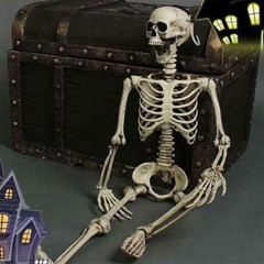 5 ft 5 in LED Eyes Poseable Human Size Skeleton Skull Halloween Decoration Prop