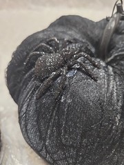 Black Velvet Lace Sequin Pumpkins 5ft Spider Web Lights Party Gothic Decor