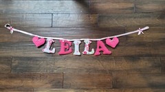 LEILA Custom Made Pink Floral Poka Dot Baby Girl Name Fabric Bday Birth Decor