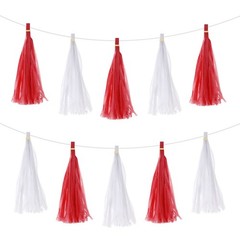 20 Pcs White Red Tassel Garland Banner with Rope