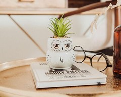 Harry Potter Hedwig 3-Inch Ceramic Mini Planter with Artificial White