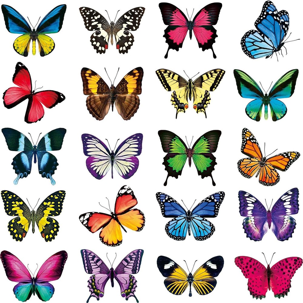 Frienda 40 Pieces Large Size Butterfly Window Clings Anti-Collision Assorted
