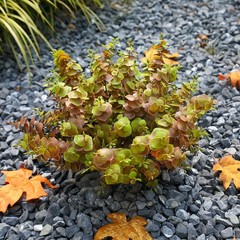 alyptus Artificial Fall Leaves Plant – 8PCS Outdoor Fake Greenery