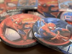 Spider-man Birthday Party Bundle – See Description For List Of Items Brand New