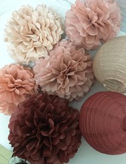 Hanging Party Decorations Tissue Paper Pom Poms & Lanterns Decor for Any Occassi