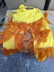Chinese Dancing Lion | Two Person Lion Dance Costume – complete