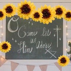 Daisy Tissue Paper Pom Poms, 15 Pack Yellow Flowers Wall Hanging Paper Flower…