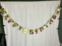 TMNT Jointed Banner «Happy Birthday» Teenage Mutant Ninja Turtles Mutant Mayhem