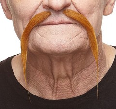 Self Adhesive Chinese Fake Mustache, Novelty, False Facial Hair, Costume Acce…