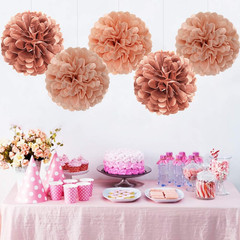 Rose Gold Paper Flowers Tissue Pom Poms Honeycomb Lanterns 15Pcs Party Decoratio