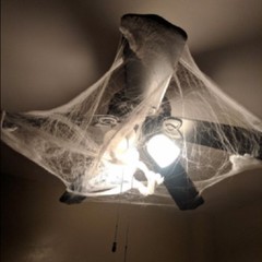 Halloween Spider Web with Black Spider Stretchable Cobweb Party Decoration