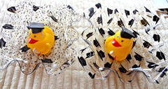 Graduation Decorations 2026 2 Bowl Set with Rubber Duckies NEW