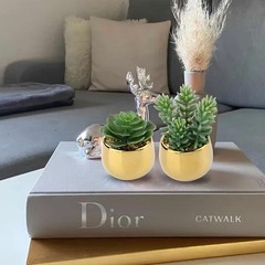 Briful Small Artificial Succulents in Pots Set of 3 Realistic Faux Style #09