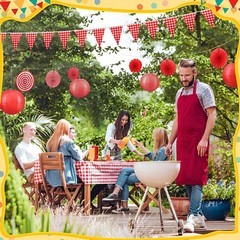 18 Pcs Red Gingham Picnic Party Decorations Tablecloth Banner Fans Lanterns
