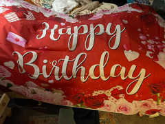 Rose Happy Birthday Backdrop for Women Red Pink Floral Birthday Photography Back