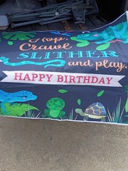 Hop, Crawl, Slither And Play Happy Birthday Reptile Banner 5 X 3.5