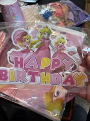 Mario Princess Peach Birthday Party Decoration Kit