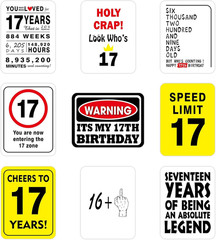 17Th Birthday Party Decorations – 9PCS Wall Signs Funny Tags for Teenagers 17 Ye