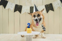 Blue Birthday Candles 5 Candle 5th Five Years Cake Bady Roman Number 5,